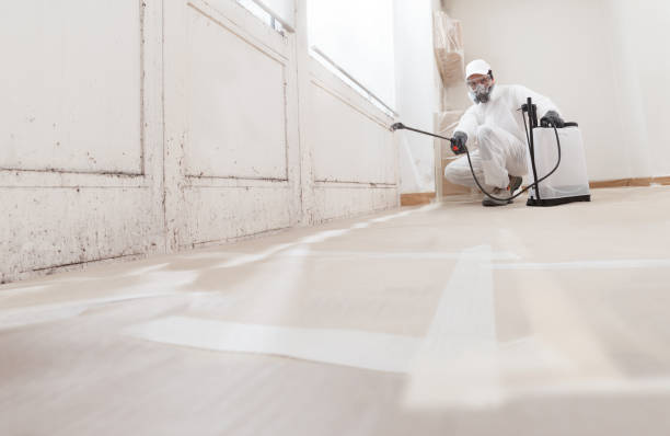24/7 Emergency Mold Remediation experts in Springfield, VA