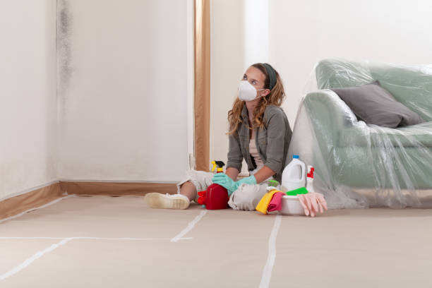 Reliable Mold Remediation contractor in Springfield, VA by 24 Hour Mold Removal